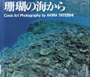 珊瑚の海から : Coral art photography