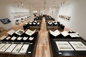 武蔵野美術大学コレクション 博物図譜－デジタルアーカイブの試み